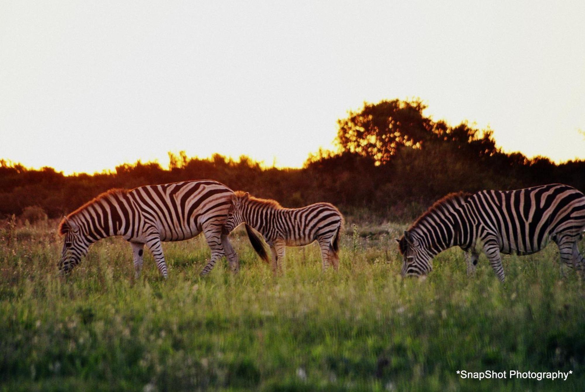 Kududu Guest House Addo Bagian luar foto
