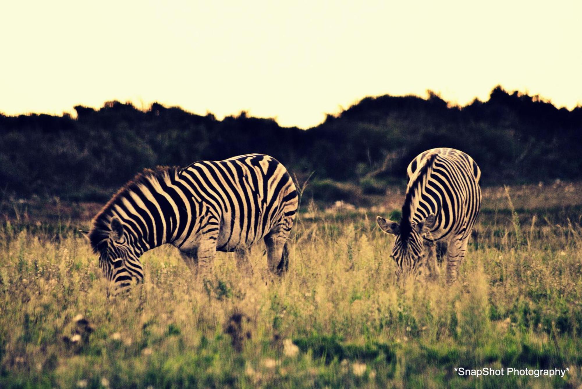 Kududu Guest House Addo Bagian luar foto